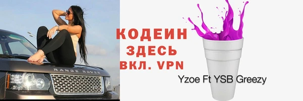 СК Новозыбков