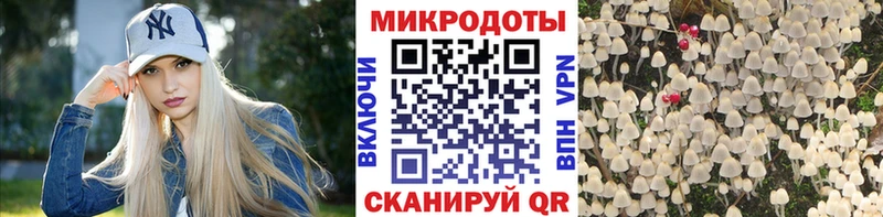 сайты даркнета какой сайт  как найти закладки  OMG как зайти  Мещовск  Псилоцибиновые грибы ЛСД 
